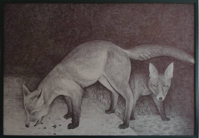 Fox with cup pen bic ballpoint pen drawing illustration black and white, good technique, talented artists, online art gallery